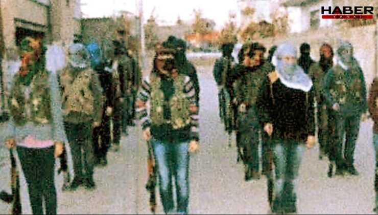 Uyuyan hücreler de silah bırakacak mı?