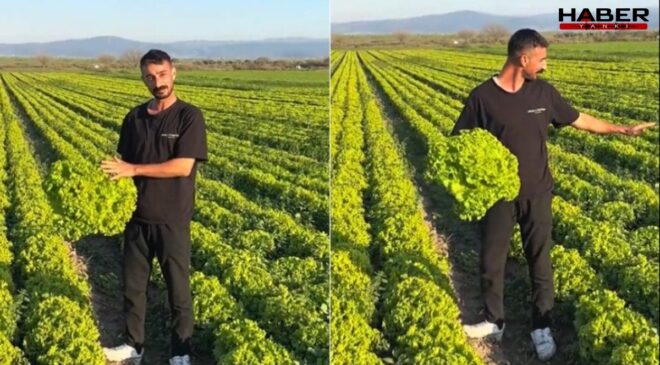 'Satarsam şerefsizim' dedi, isyanı pahalıya patladı