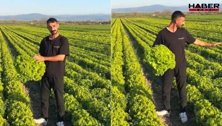 'Satarsam şerefsizim' dedi, isyanı pahalıya patladı