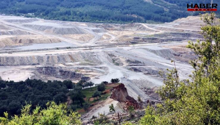 Yazık ettiniz Akbelen’e