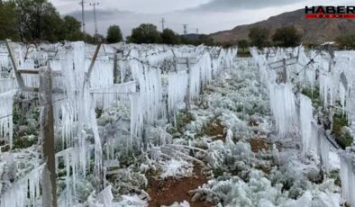 Zirai dondan etkilenen çiftçilere yeni ödeme
