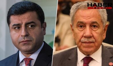 Ziyaret sonrası ortalık karıştı! Demirtaş'ın açıklamalarına Arınç'tan yanıt