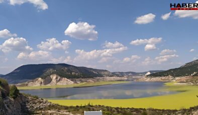 Adıgüzel can çekişiyor! Göl yüzeyi yeşil alglerle kaplandı
