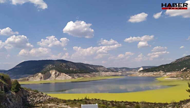 Adıgüzel can çekişiyor! Göl yüzeyi yeşil alglerle kaplandı