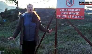 Akbelen’de muhtarın isyanı: 'Zeytin katliamına yeniden başlandı'