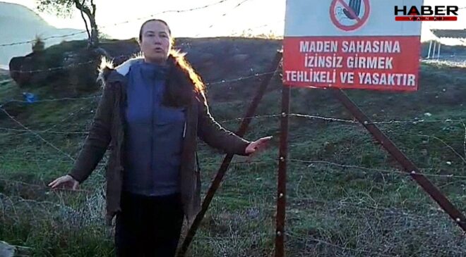 Akbelen’de muhtarın isyanı: 'Zeytin katliamına yeniden başlandı'