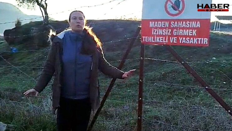 Akbelen’de muhtarın isyanı: 'Zeytin katliamına yeniden başlandı'