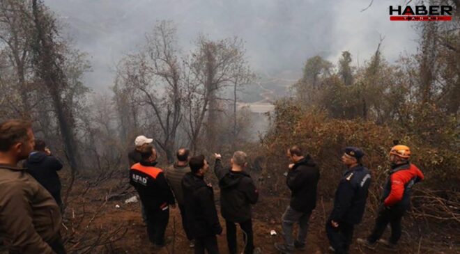 Artvin’de örtü yangını ormana yayıldı