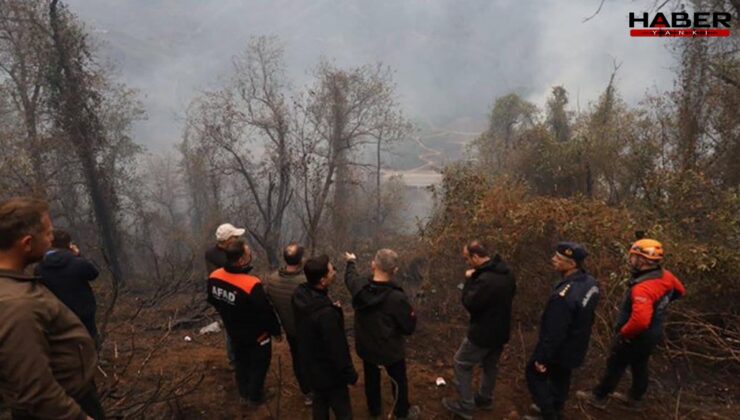 Artvin’de örtü yangını ormana yayıldı