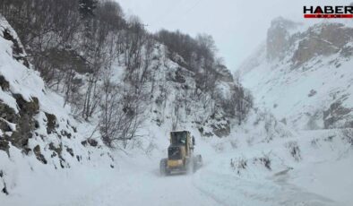 Artvin'de çığ faciasında bir kişinin cansız bedenine ulaşıldı