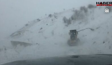 Artvin'de çığ: Vali, 'Altında çobanların kalmış olabileceği ihbarı var' dedi!