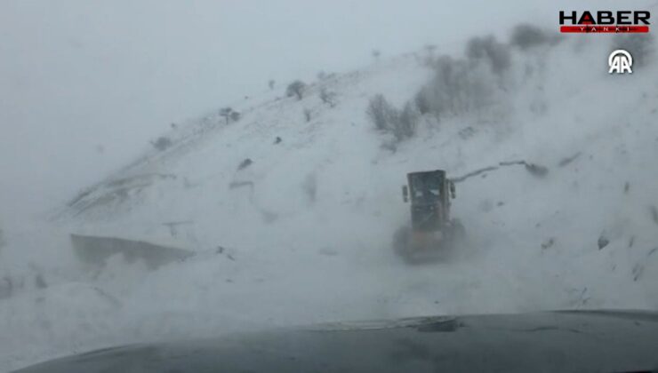 Artvin'de çığ: Vali, 'Altında çobanların kalmış olabileceği ihbarı var' dedi!
