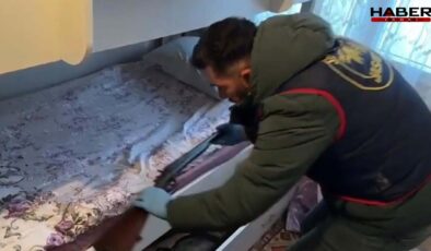 Aydın’da silah ve uyuşturucu operasyonu