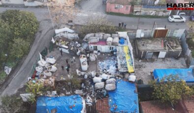 Bu da oldu: 250 liraya at eti satmışlar!