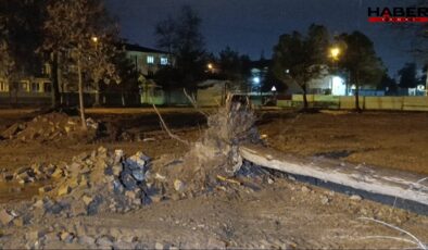 Bursa'da fırtına ağaç devirdi