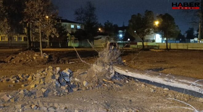 Bursa'da fırtına ağaç devirdi