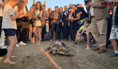 Caretta caretta 'Cumhuriyet'i binlerce kişi izledi