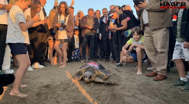 Caretta caretta 'Cumhuriyet'i binlerce kişi izledi