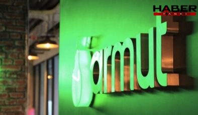 Çevrim içi hizmet platformu 'Armut.com'a erişim engeli