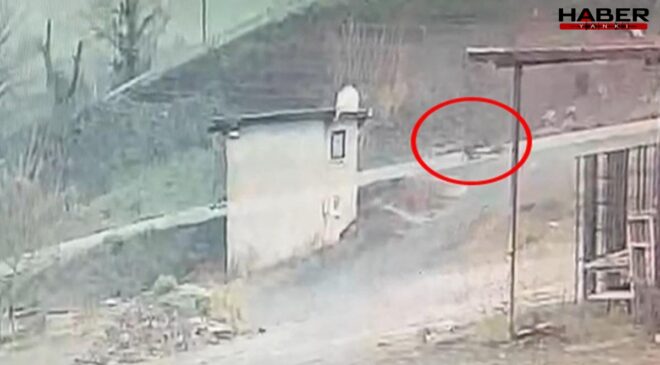 Ereğli’de ölümle sonuçlanan motosiklet kazasının görüntüleri ortaya çıktı