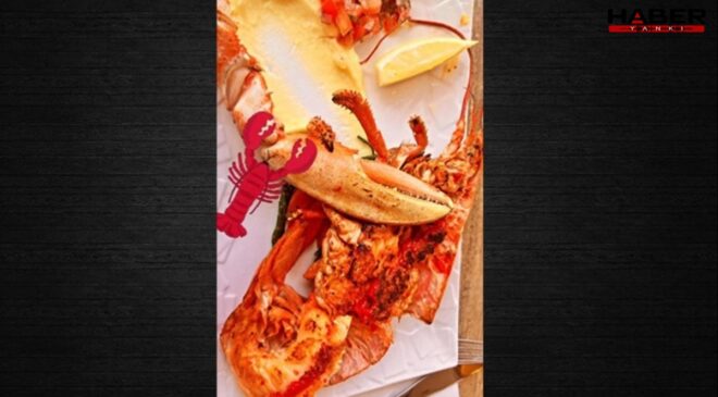 Istakoz derken AKP’li vekil topu ‘fes’e attı