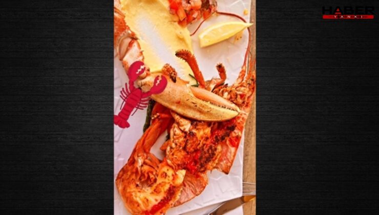 Istakoz derken AKP’li vekil topu ‘fes’e attı