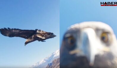 Kartal dorunu kaptı, ortaya çarpıcı görüntüler çıktı