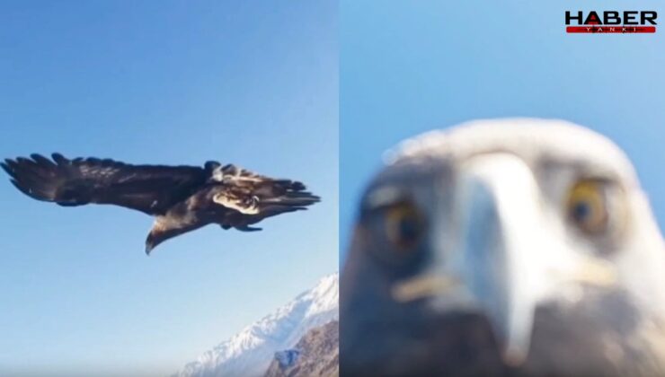 Kartal dorunu kaptı, ortaya çarpıcı görüntüler çıktı
