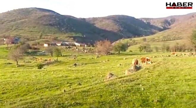 Köylünün kararlılığı madeni durdurdu