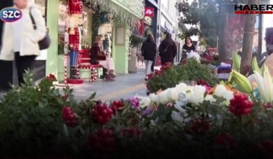 Toplaması dert alması lüks! Yeni yılın umut çiçeği Kokina