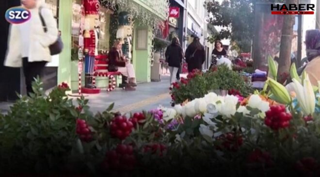 Toplaması dert alması lüks! Yeni yılın umut çiçeği Kokina