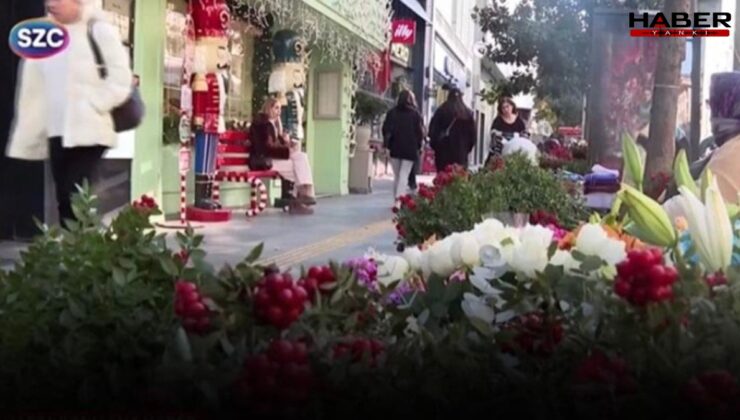 Toplaması dert alması lüks! Yeni yılın umut çiçeği Kokina