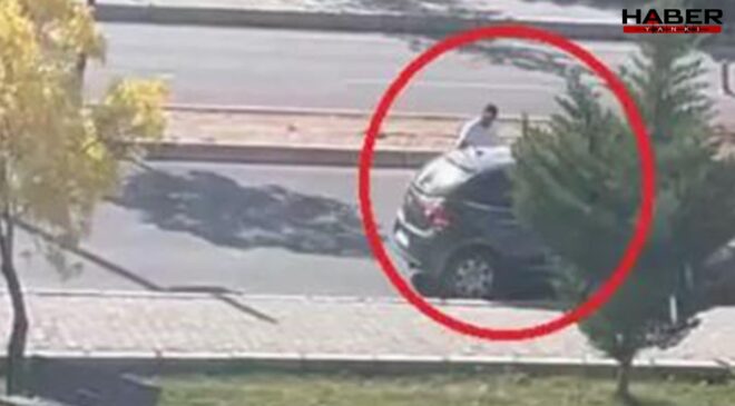 Üniversitede kadını katleden katil tüfeği internetten satın almış