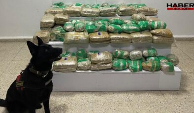 Van Başkale’de 51 kilo 275 gram skunk ele geçirildi