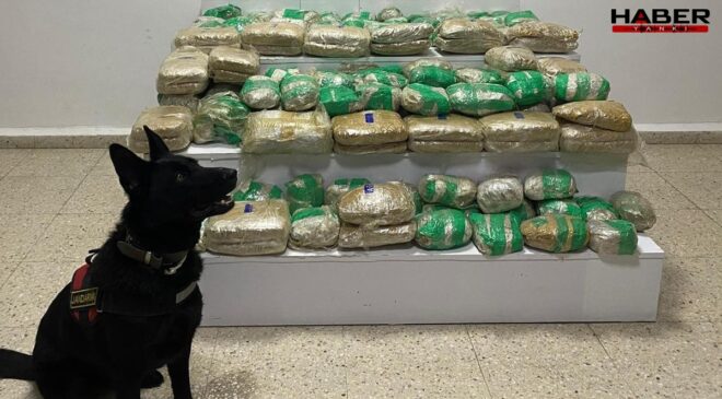 Van Başkale’de 51 kilo 275 gram skunk ele geçirildi