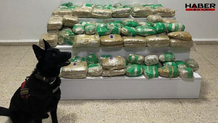 Van Başkale’de 51 kilo 275 gram skunk ele geçirildi