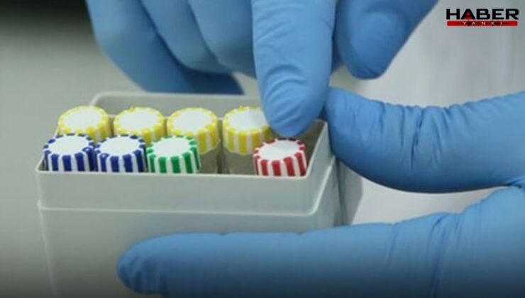 Yandaş yazardan flaş iddia: 'Uyuşturucu operasyonu en büyük holdinglerin varislerine uzayacak'