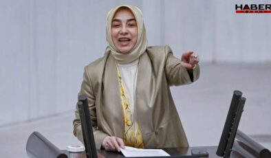 Zengin'in akrabalarının yükselişi durdurulamıyor! Hakim yeğenden sonra başhekim kardeş