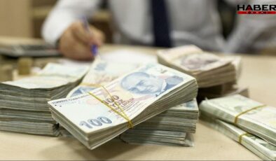 110 bin TL'yi yanlışlıkla çöpe attı