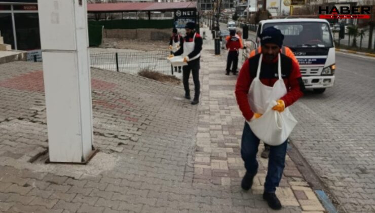 AKP’li belediyeden sıra dışı önlem: Kaldırımlar elle tuzlandı