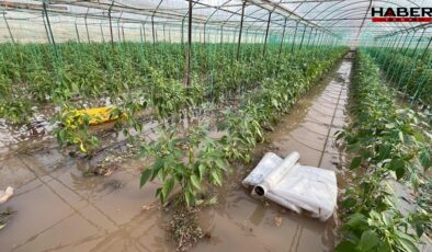 Antalya Kumluca’da sağanak kabusu: Ev ve seralar sular altında kaldı