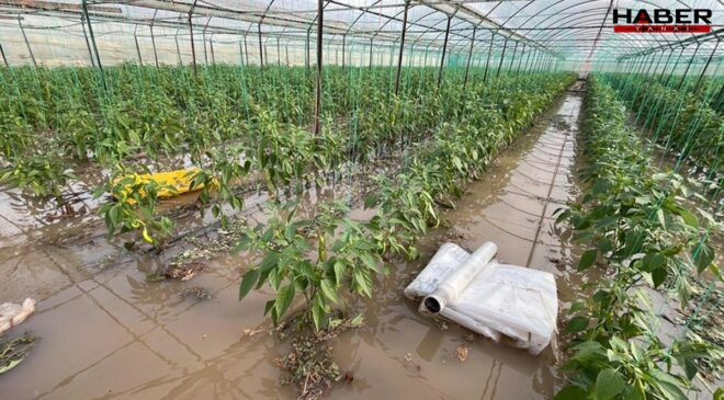 Antalya Kumluca’da sağanak kabusu: Ev ve seralar sular altında kaldı