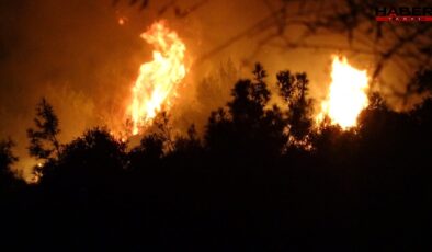 Antalya'da ormanlık alanda yangın!