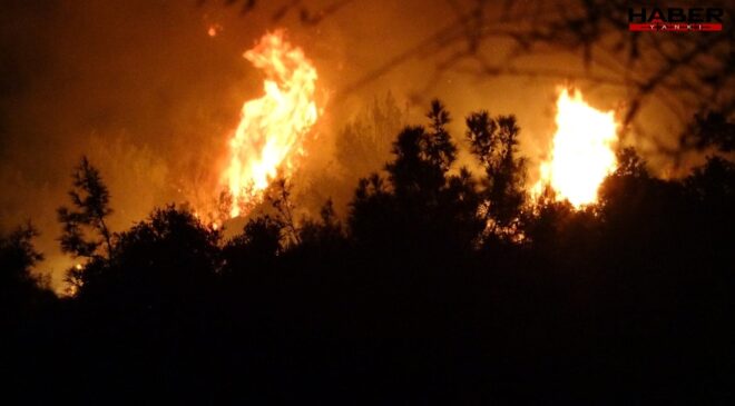 Antalya'da ormanlık alanda yangın!
