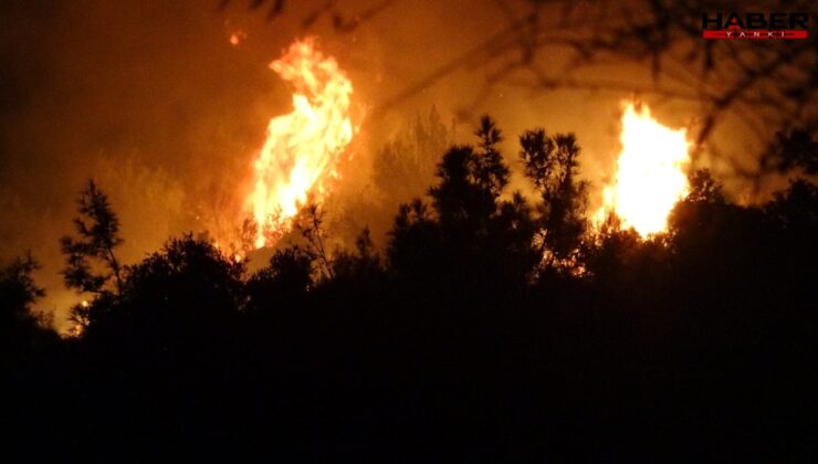 Antalya'da ormanlık alanda yangın!
