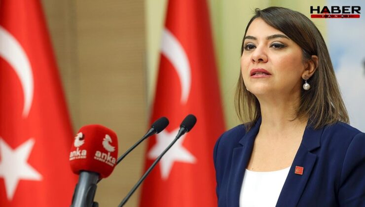 CHP'li Gamze Taşcıer Şengel'den, Bakan Işıkhan'a SGK borçları yanıtı