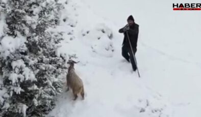 Çoban gördüğü drona tüfek doğrulttu! O anlar kameraya yansıdı
