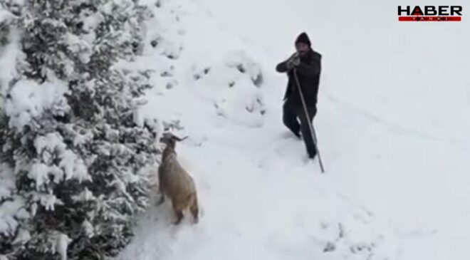 Çoban gördüğü drona tüfek doğrulttu! O anlar kameraya yansıdı