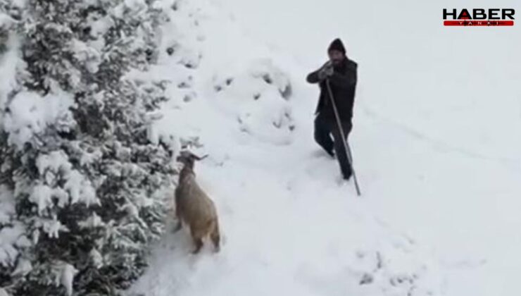 Çoban gördüğü drona tüfek doğrulttu! O anlar kameraya yansıdı
