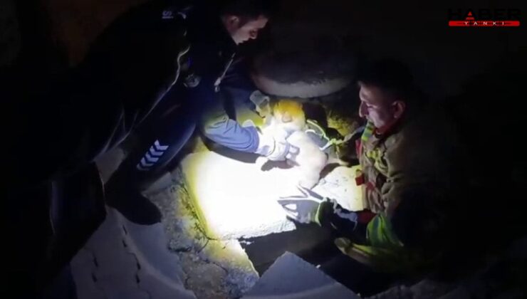 Hatay'da rögarda sıkışan yavru köpeğin imdadına itfaiye yetişti